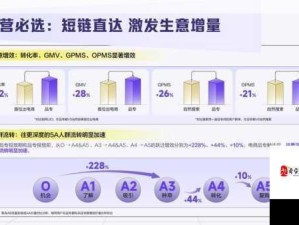 2025年夹一放技术影响及价值研究